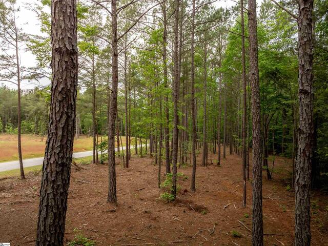 Photo of 00 Elford Grove Road