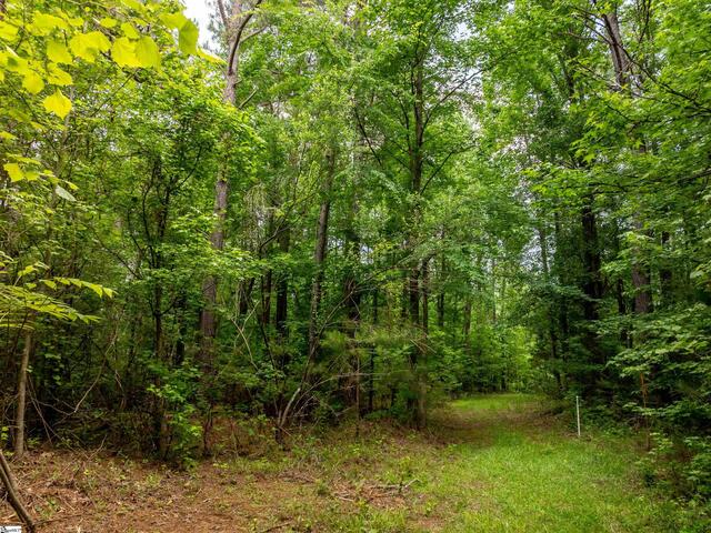 Photo of 00 Elford Grove Road