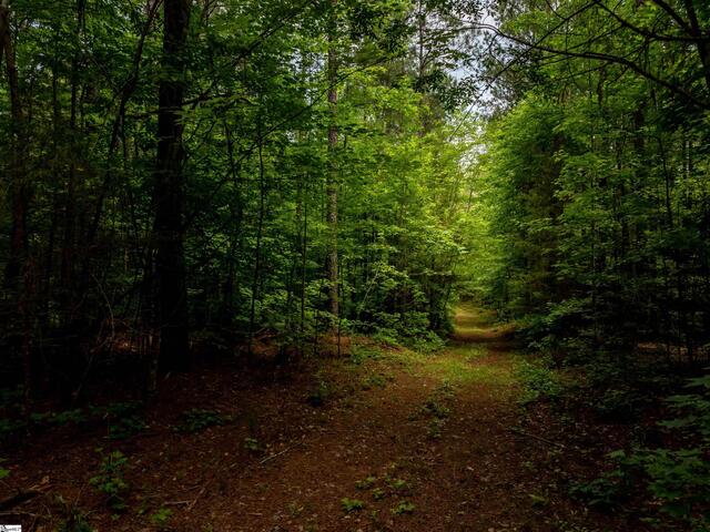 Photo of 00 Elford Grove Road