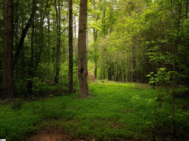 Photo of 00 Elford Grove Road