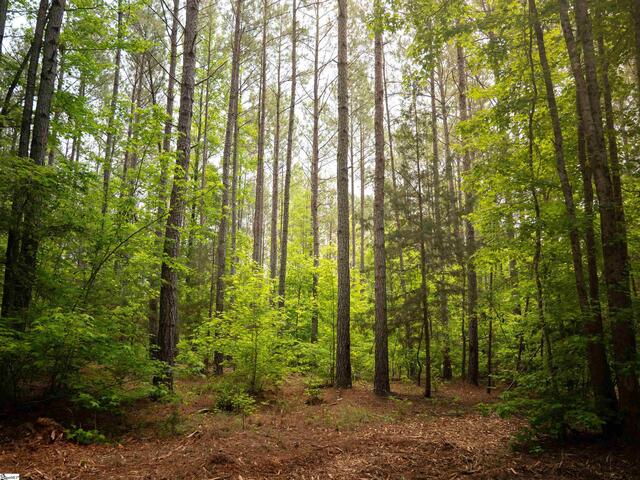 Photo of 00 Elford Grove Road