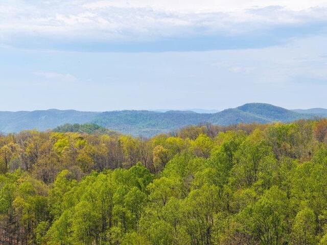 Photo of 0 Mica Flat Drive