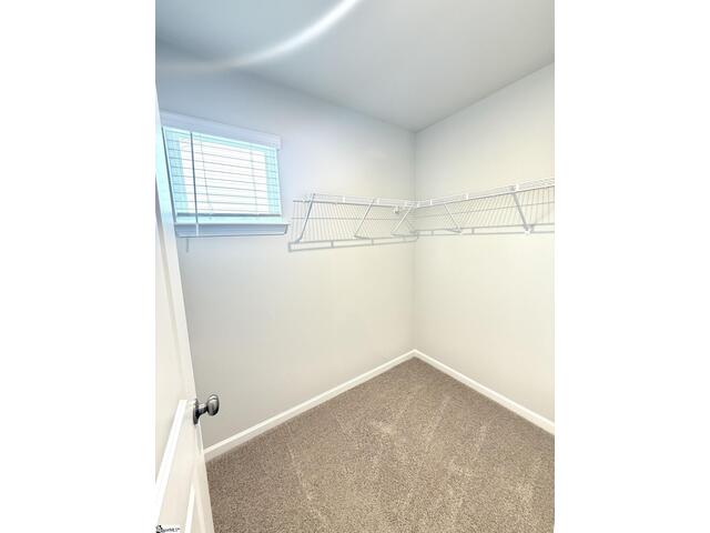 Photo of 137 Randwick