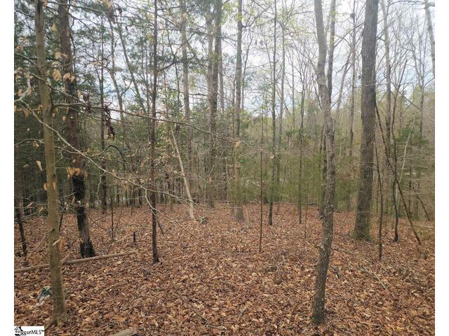 Photo of Boyds Mill Pond Road