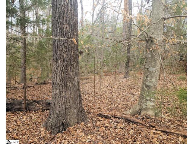 Photo of Boyds Mill Pond Road