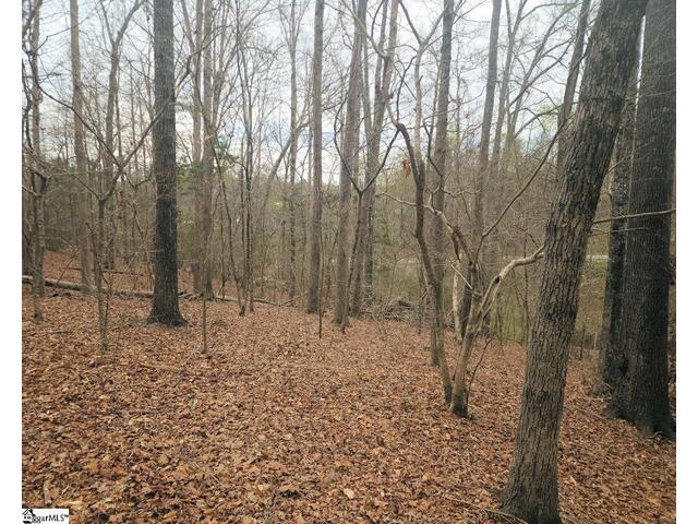 Photo of Boyds Mill Pond Road
