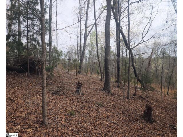 Photo of Boyds Mill Pond Road