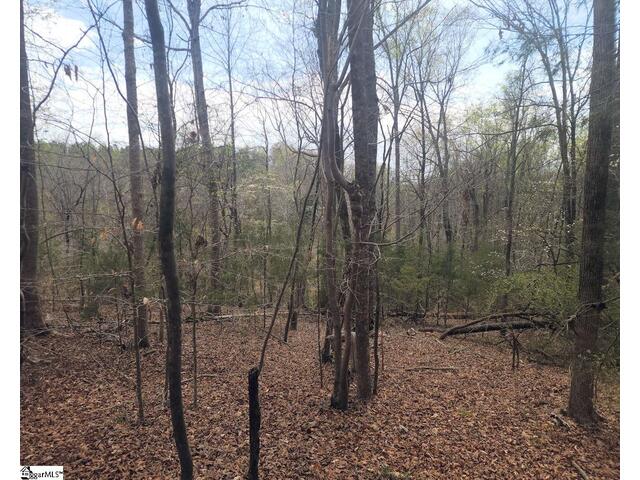 Photo of Boyds Mill Pond Road
