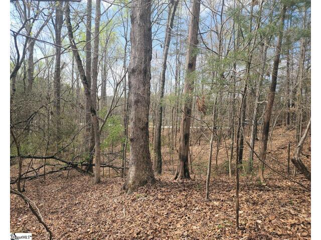 Photo of Boyds Mill Pond Road