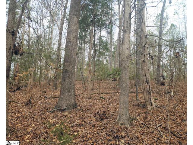 Photo of Boyds Mill Pond Road