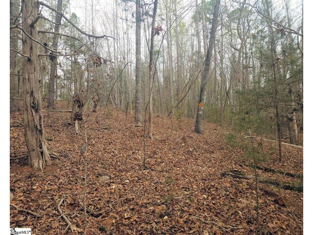 Photo of Boyds Mill Pond Road