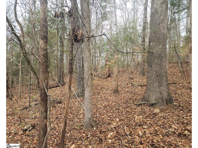 Photo of Boyds Mill Pond Road