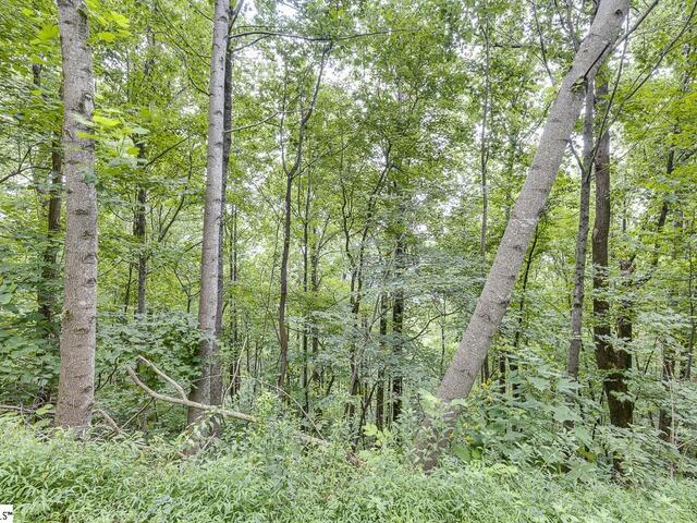 Photo of 613 Western Way