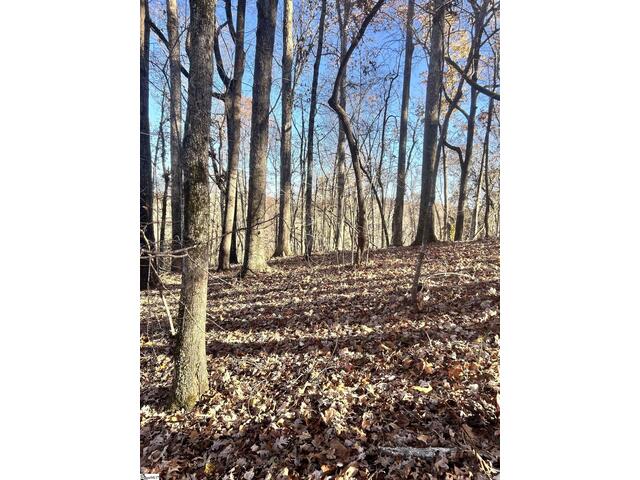 Photo of 00 SC-11 Highway