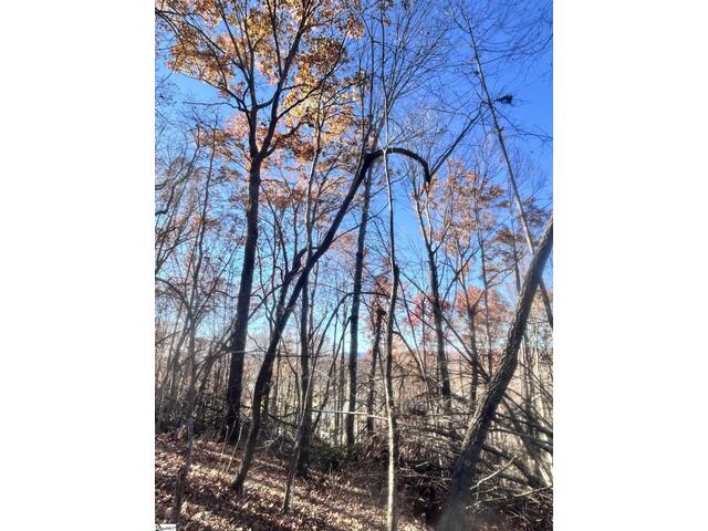 Photo of 00 SC-11 Highway