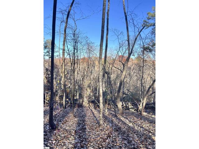 Photo of 00 SC-11 Highway