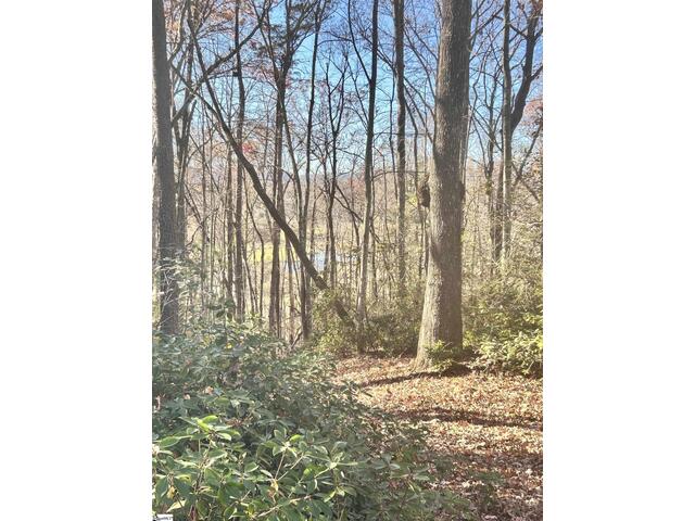 Photo of 00 SC-11 Highway