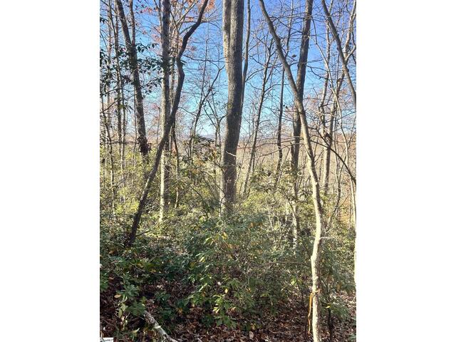 Photo of 00 SC-11 Highway