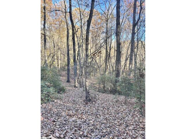 Photo of 00 SC-11 Highway