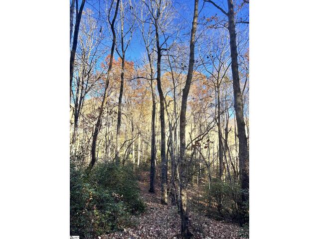 Photo of 00 SC-11 Highway