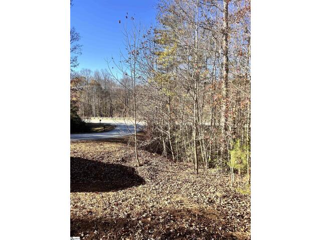 Photo of 00 SC-11 Highway