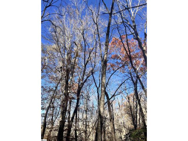 Photo of 00 SC-11 Highway