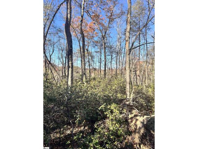 Photo of 00 SC-11 Highway