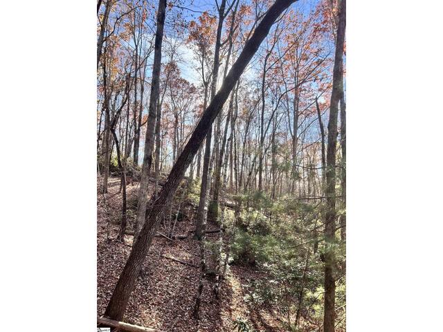 Photo of 00 SC-11 Highway