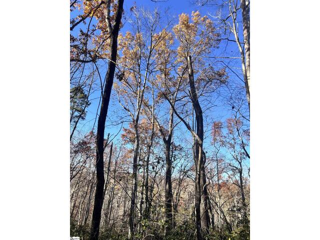 Photo of 00 SC-11 Highway