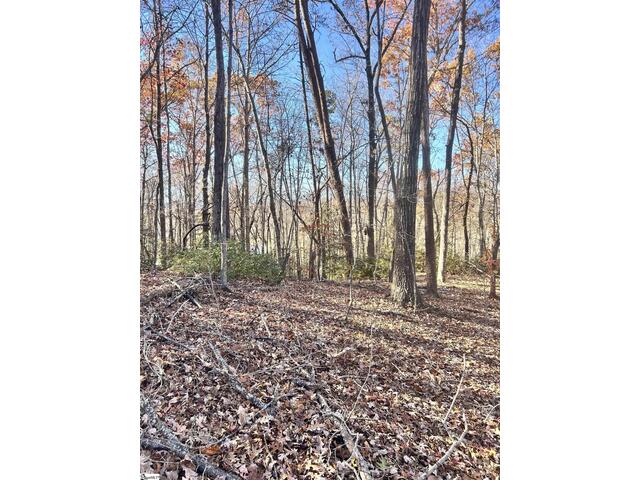 Photo of 00 SC-11 Highway