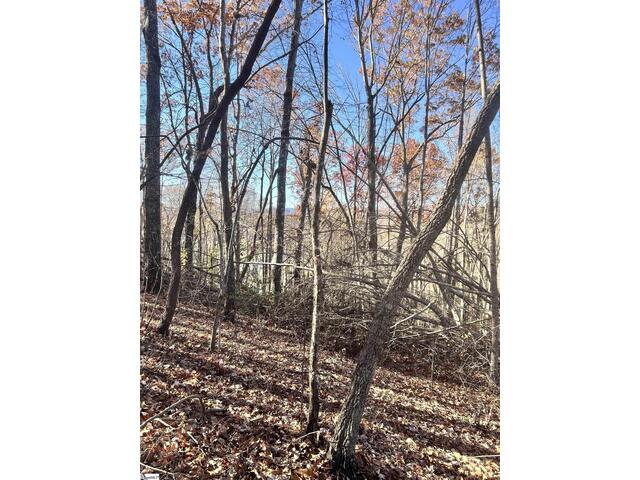 Photo of 00 SC-11 Highway