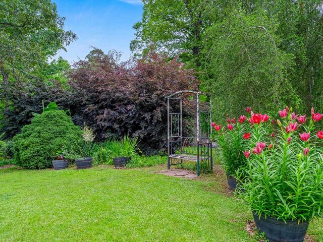 Photo of 223 Covington Road