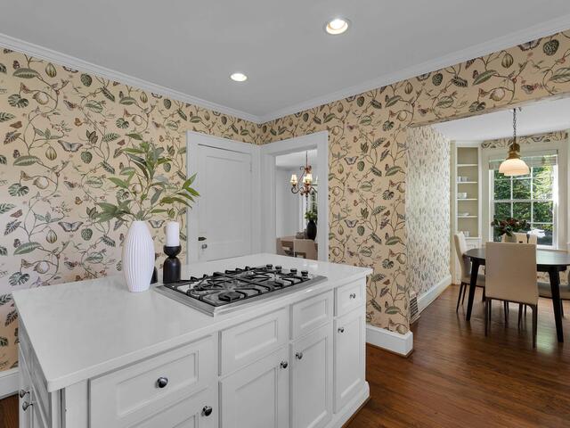Photo of 47 Douglas Drive