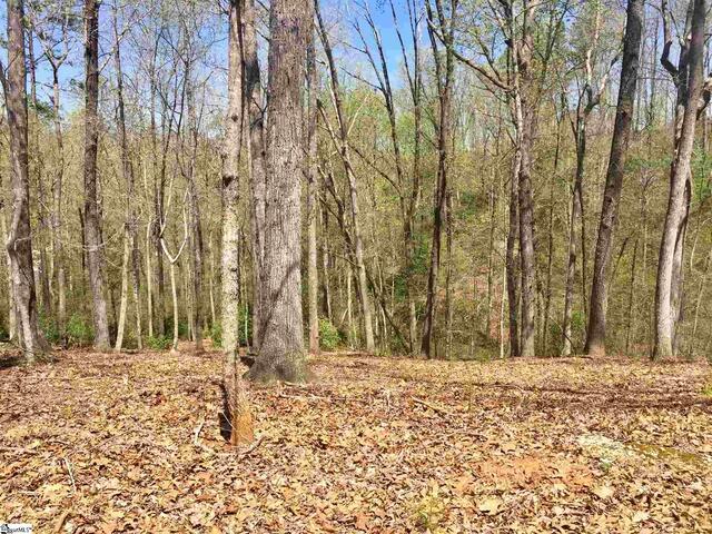 Photo of 110 Black Knight Trail