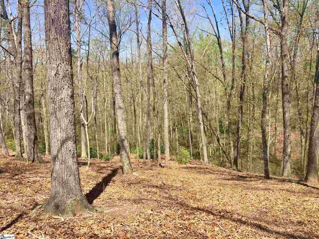 Photo of 110 Black Knight Trail