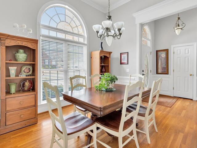 Photo of 11 Shannon Creek Court