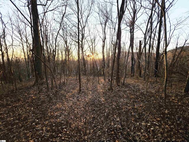 Photo of 39 Raptor Way