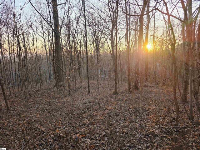 Photo of 39 Raptor Way