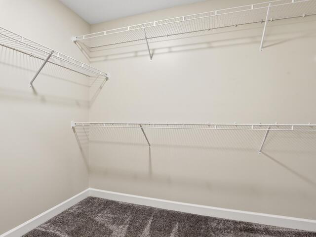 Photo of 1719 Roxanne Sue Drive