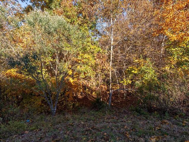 Photo of 268 Chapel Hill Lane