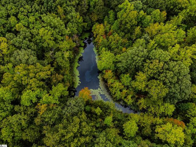 Photo of S. Packs Mtn Road