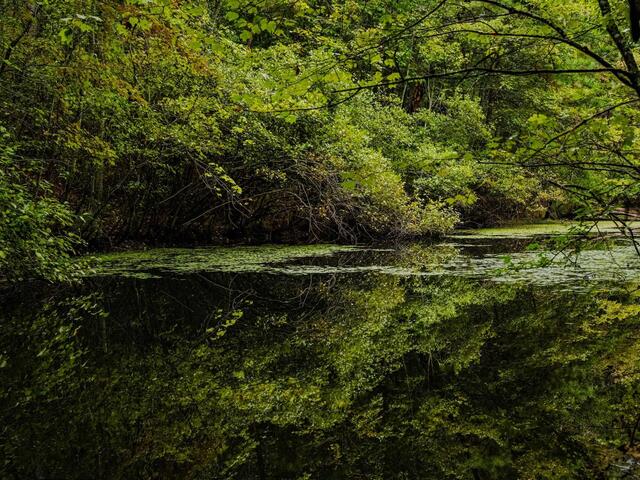 Photo of S. Packs Mtn Road