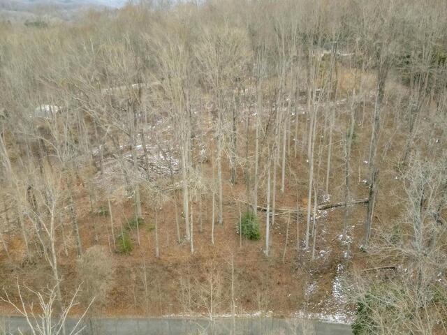 Photo of 29 Forest Drive