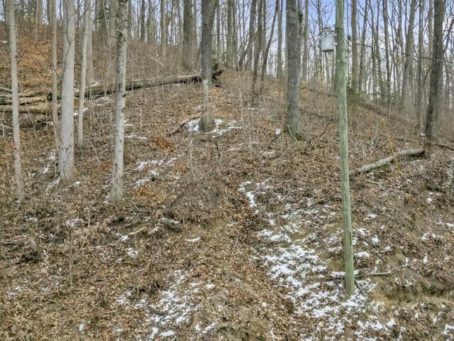 Photo of 29 Forest Drive