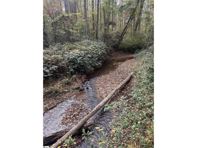 Photo of Motlow Creek Road