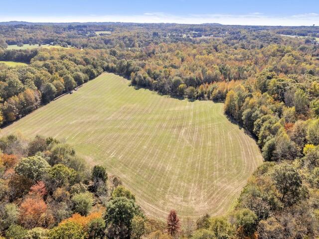 Photo of Motlow Creek Road