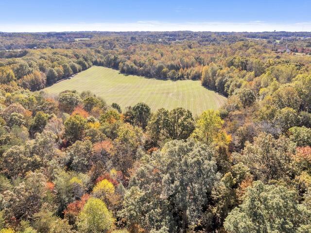 Photo of Motlow Creek Road