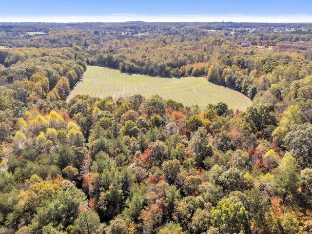 Photo of Motlow Creek Road