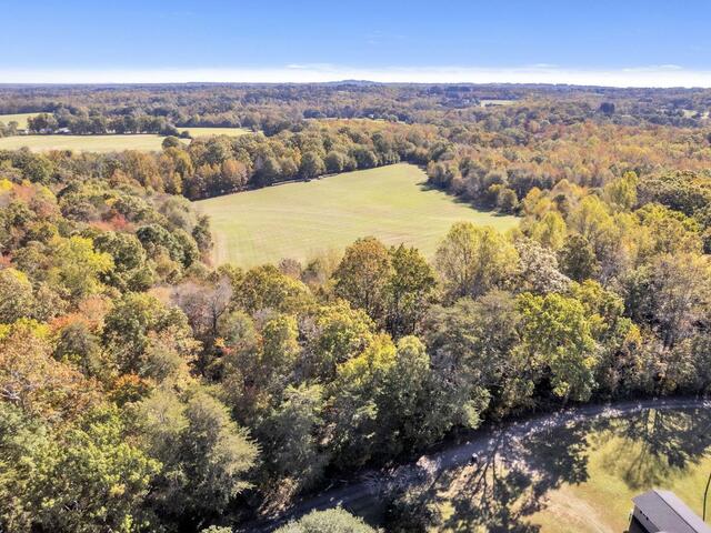 Photo of Motlow Creek Road