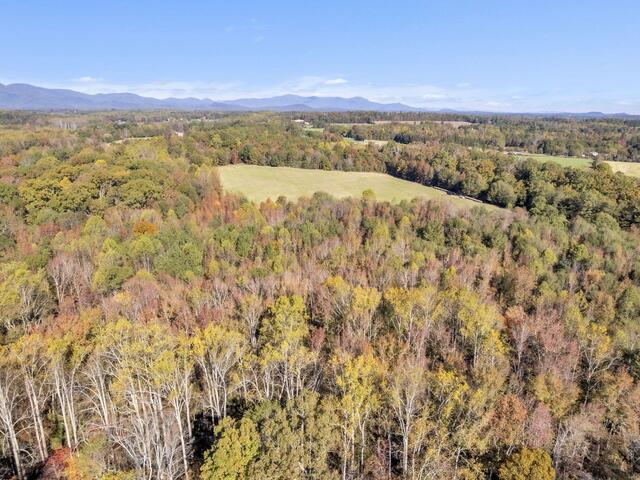 Photo of Motlow Creek Road